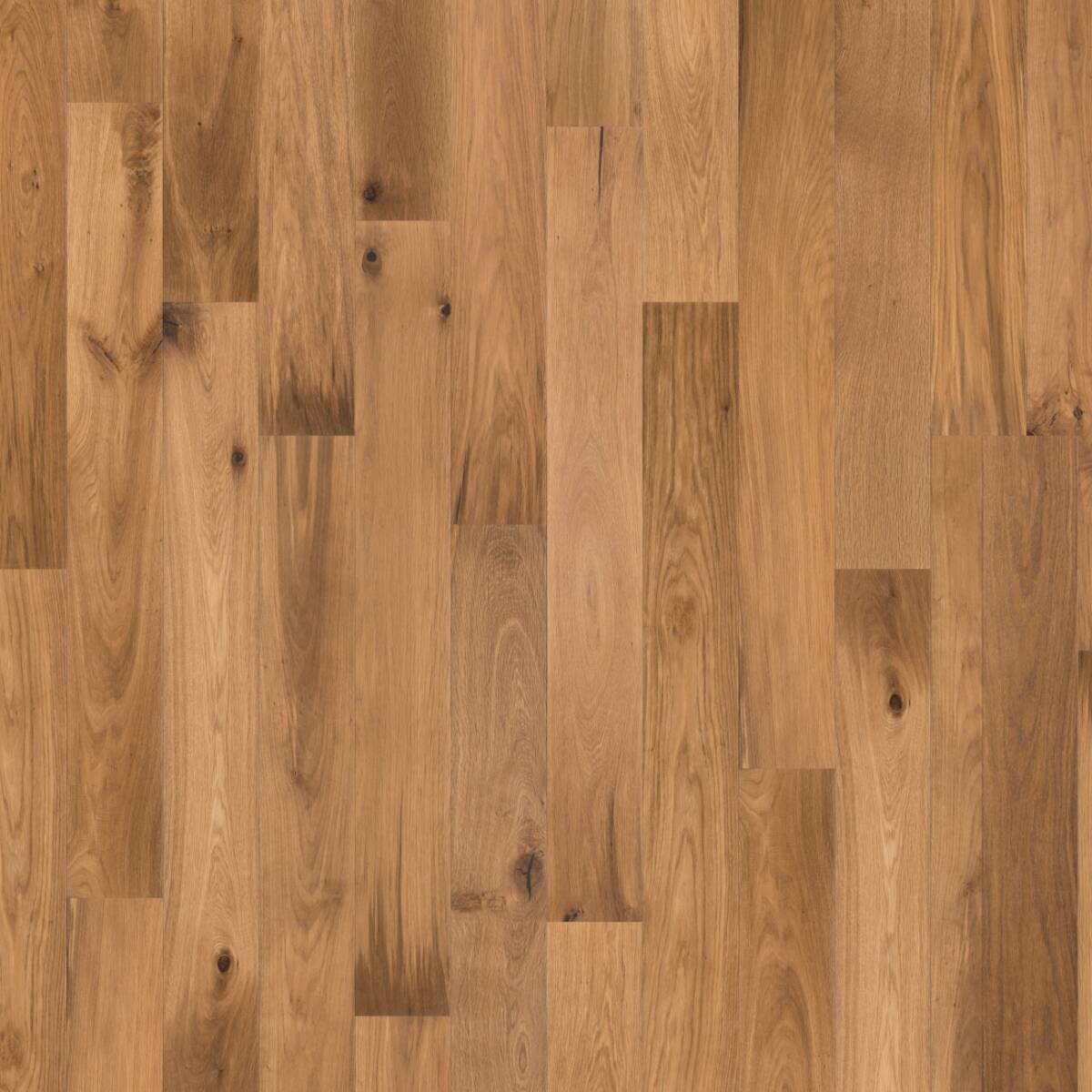 PARQUET CONTRECOLLE PRAIRIE CHENE FUME Wittenheim 0